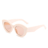 Big frame cat eye fashion jelly color striped cool sunglasses