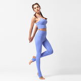 Women's tight-fitting sports yoga suit suits fitness quick-drying hip pants high-waist running trousers