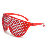 Funny Grid One Big Frame Sunglasses