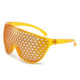 Funny Grid One Big Frame Sunglasses